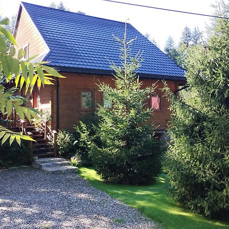 Apartament Nad Potokiem 维斯拉 外观 照片