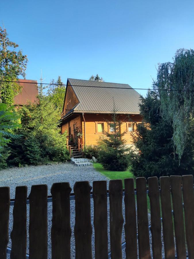 Apartament Nad Potokiem 维斯拉 外观 照片