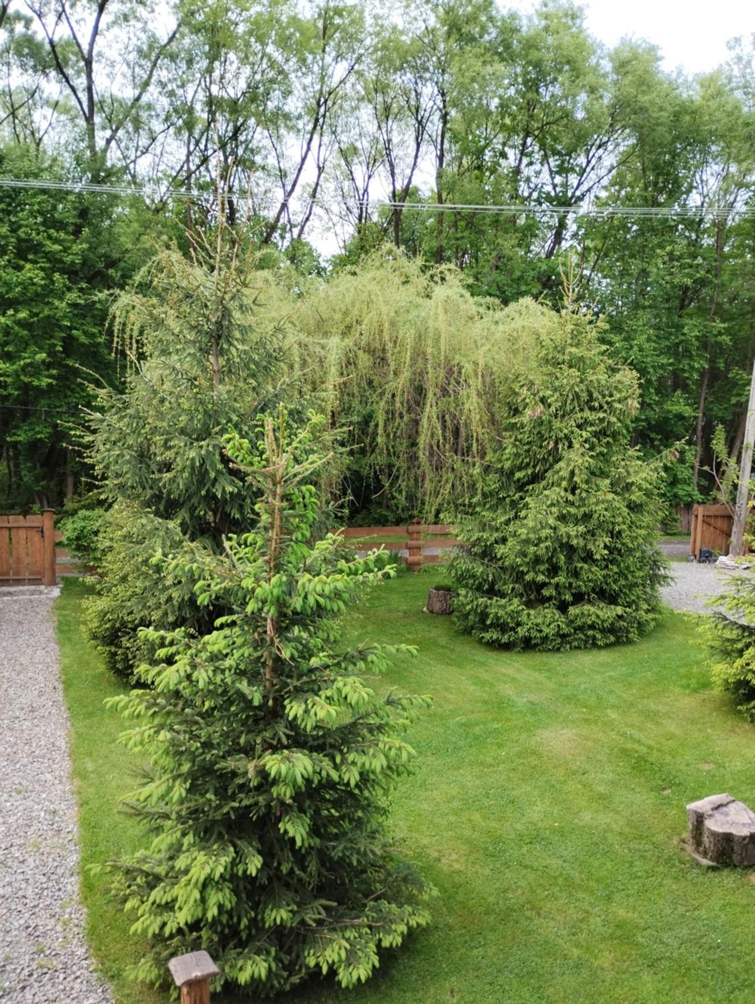 Apartament Nad Potokiem 维斯拉 外观 照片